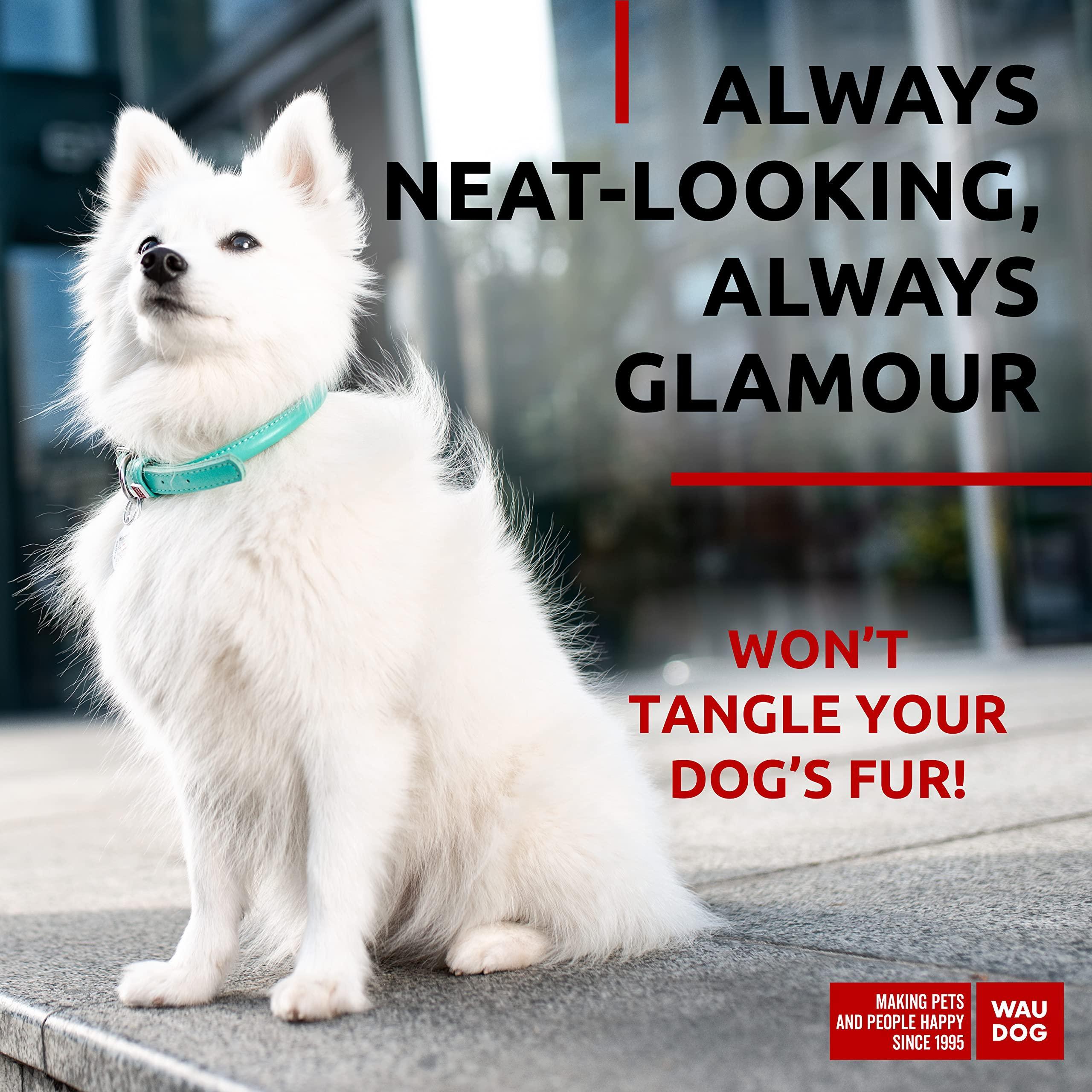 Adjustable Ultra Soft Rolled Leather Dog Collar for Small to Large Breeds - Durable & Stylish