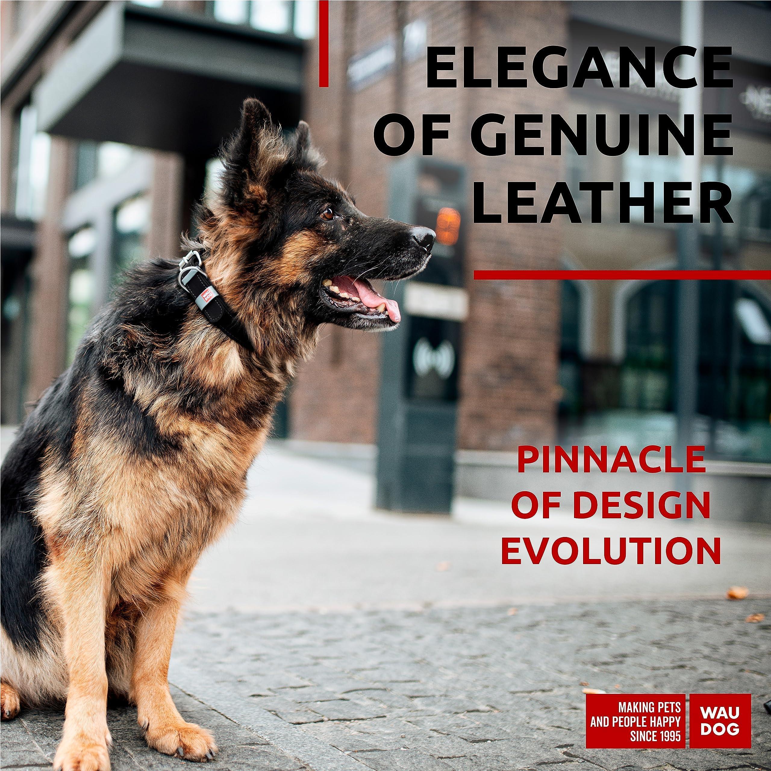 Long Lasting Leather Dog Collar for Large Dogs Medium & Small Dogs   Adjustable Classic Puppy Collars for Large Breed Dogs   Boy & Girl Dog Collars with Durable Buckle D Ring & QR Dog Tag