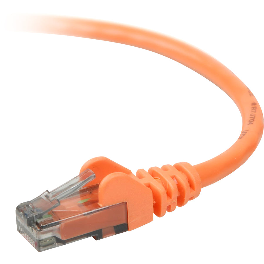 Belkin 7-Foot CAT6 Ethernet Cable, Gold-Plated RJ45 Connectors, High-Speed Network Performance
