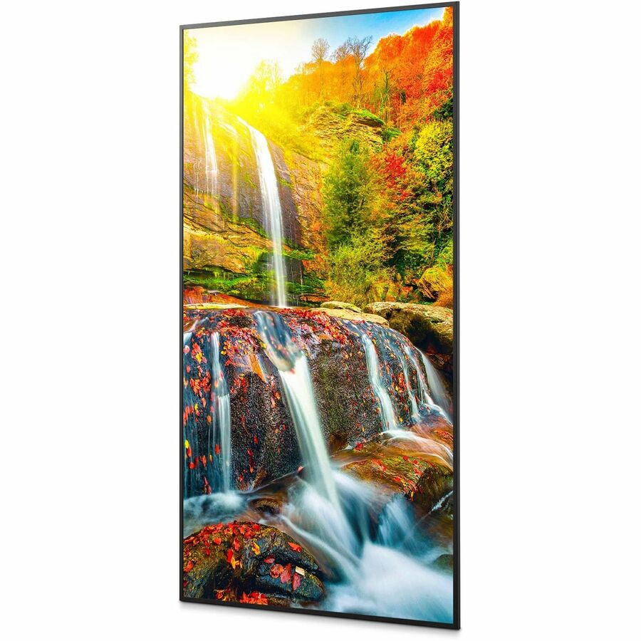 Sharp 43" Ultra High Definition Commercial Display