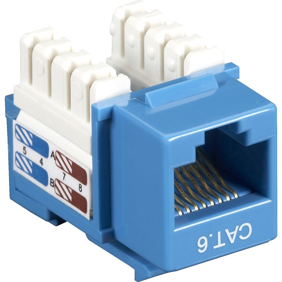 Black Box CAT6 Keystone Jack - Reliable Blue Network Connector with Gold Flash Contacts