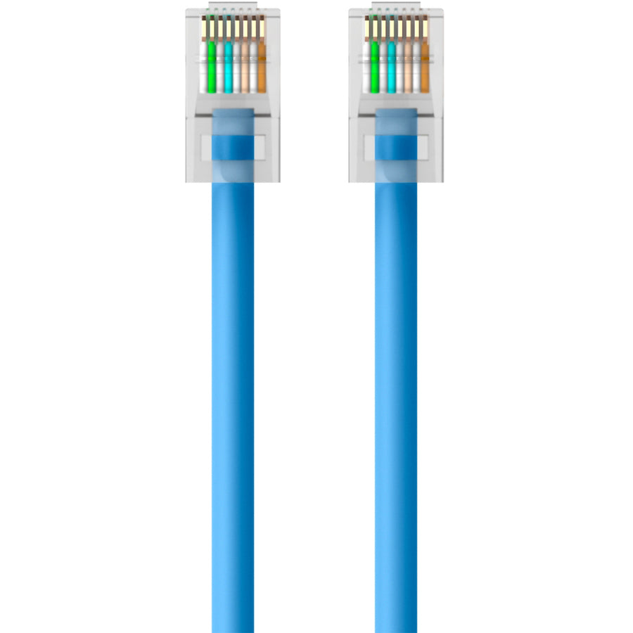 Belkin Cat5e Snagless Ethernet Patch Cable - 1000Mbps, Gold-Plated RJ45 Connectors, Durable PVC Jacket