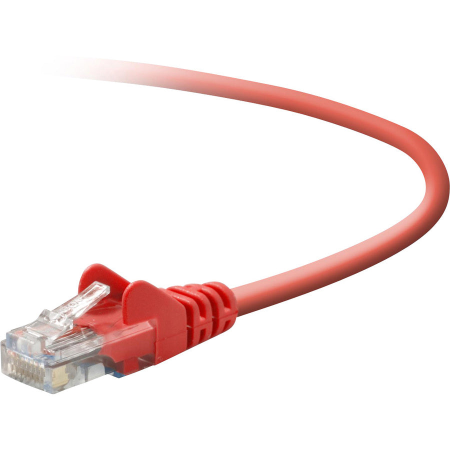 Belkin Cat5e Crossover Cable - High-Performance RJ45 Male-to-Male Network Cable for LAN Connections