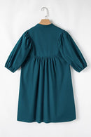 Loose Fit Puff Sleeve Mini Dress