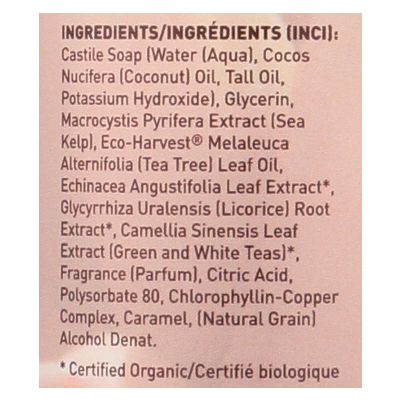 Desert Essence - Thoroughly Clean Face Wash with Eco Harvest Tea Tree Oil And Sea Kelp - 8.5 fl oz