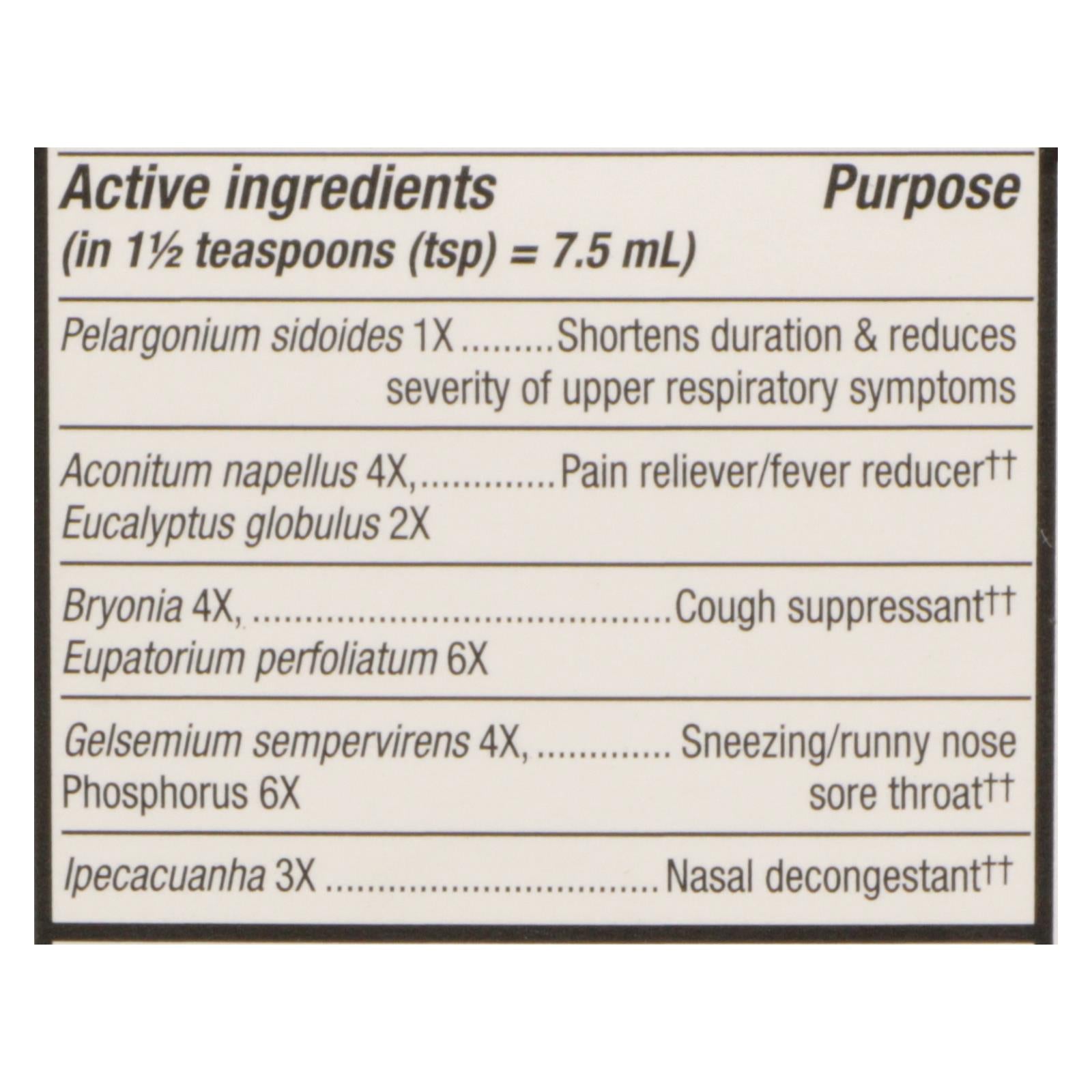 Nature's Way - Umcka Cold and Flu Sugar-Free Syrup Berry - 4 fl oz