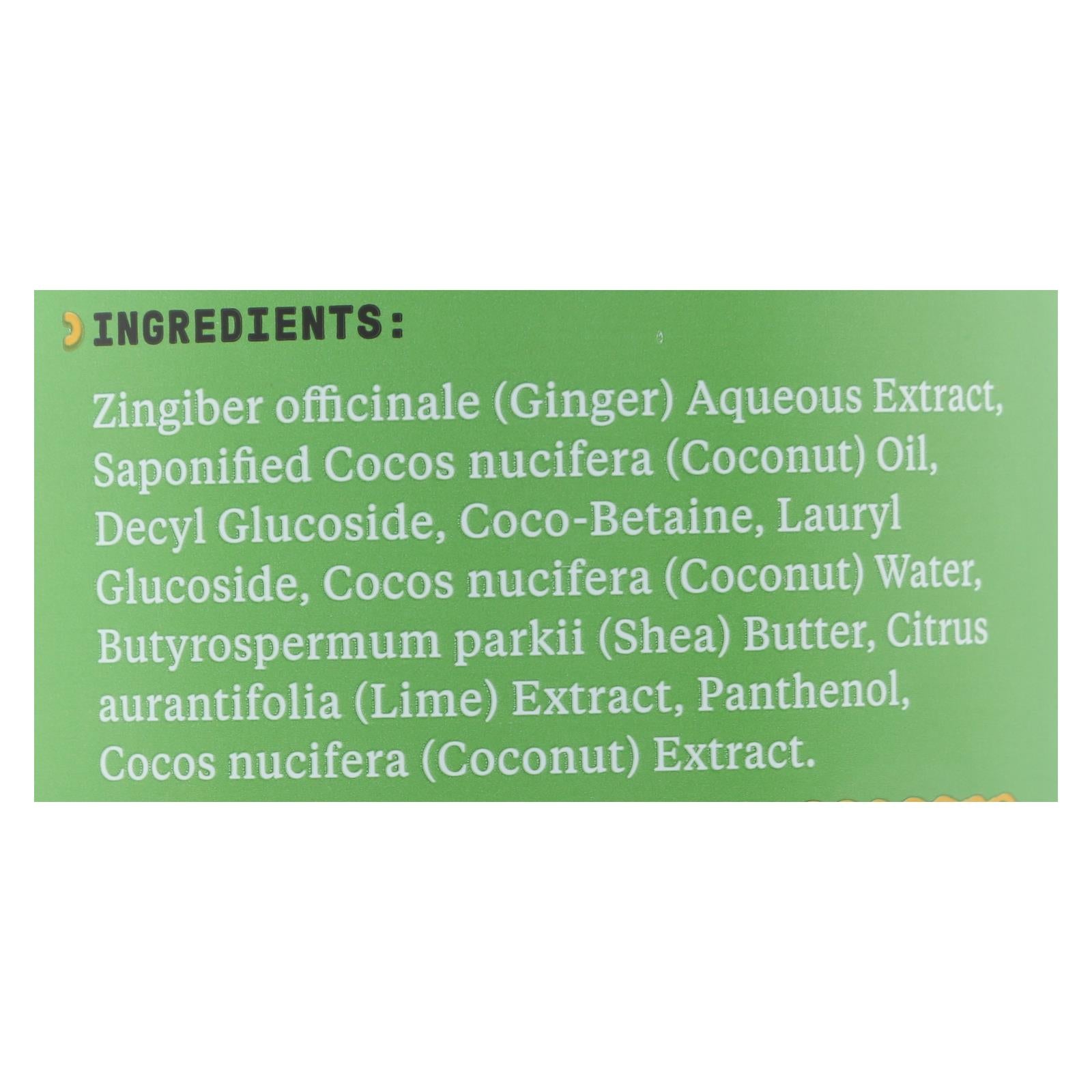 Alaffia - Everyday Shampoo - Coconut Lime - 32 fl oz.