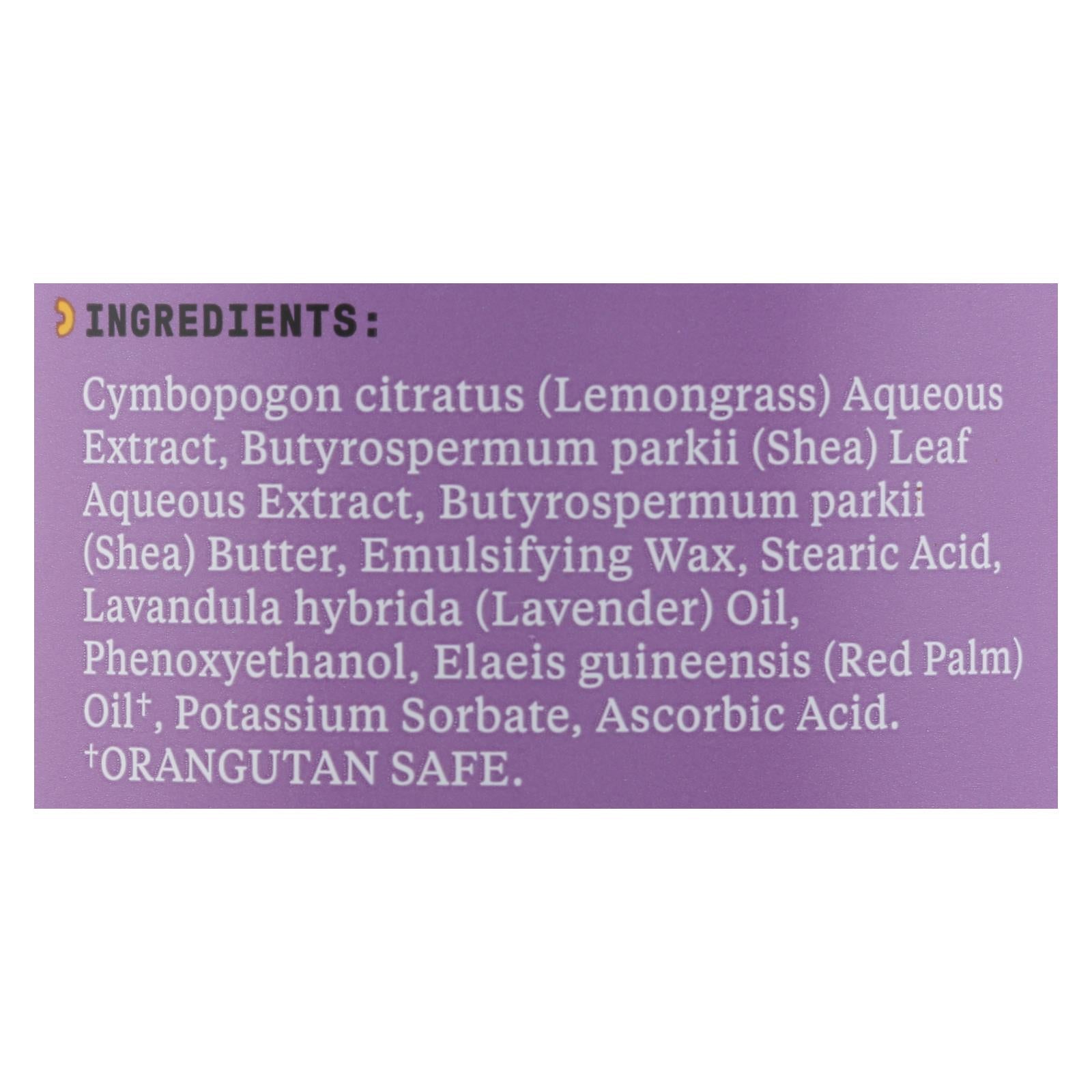 Alaffia Everyday Lavender Lotion - 32 Fl. Oz. Gluten-Free, Vegan, Fair Trade & Biodegradable