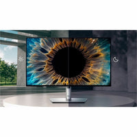 Dell U2424HE 23.8" FHD Monitor showcasing vibrant graphics with advanced ComfortView Plus technology for optimal viewing, ideal for work and entertainment.