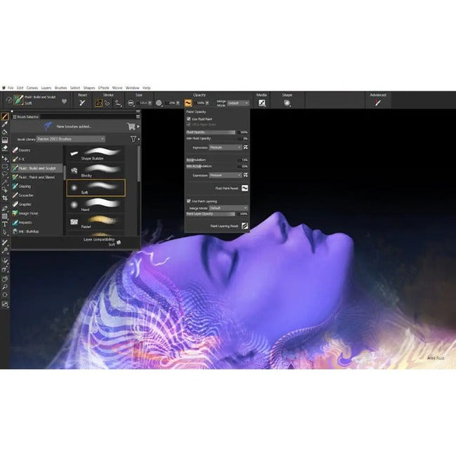 Corel Painter 2023 Academic Edition - Professional Digital Art Software for Students & Educators
