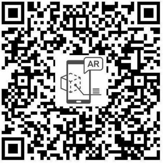 249651693.jpg