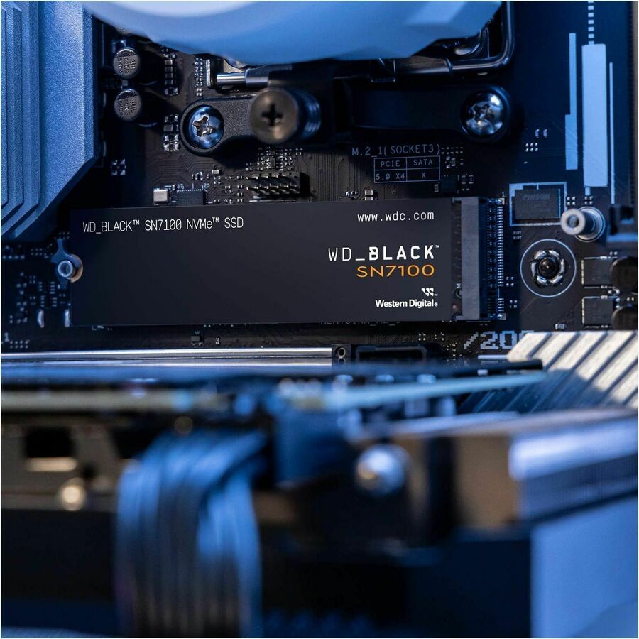 249653006.jpg