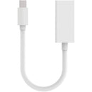 Belkin Mini Displayport to HDMI Adapter, M/F, 1080p - Store 42