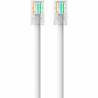 Belkin Cat5e Patch Cable - Store 42