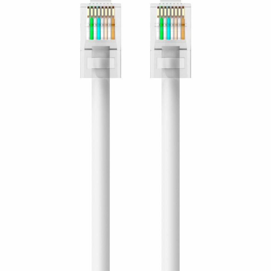 Belkin Cat5e Patch Cable - Store 42