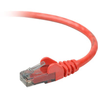 Belkin Cat.6 Patch Cable - Store 42