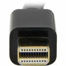 249709445.jpg
