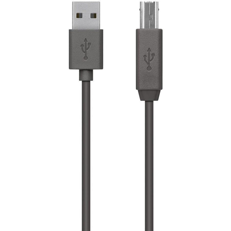 Belkin 9.84 Ft USB Data Transfer Cable - USB 2.0 Type A to Type B - Fast Data Transfer and Plug-and-Play