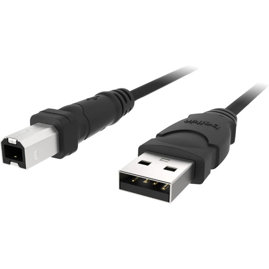 Belkin USB Cable - High-Quality Data Transfer with Lifetime Warranty, Flexible & Durable Design