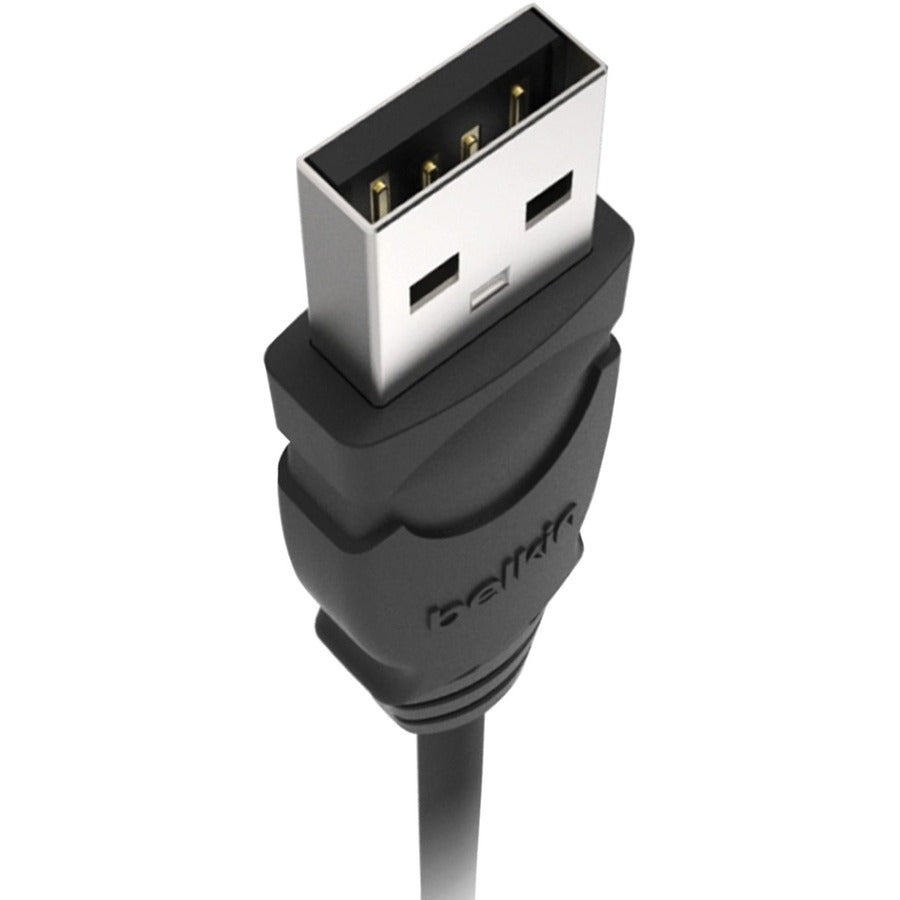 Belkin USB Cable - High-Quality Data Transfer with Lifetime Warranty, Flexible & Durable Design