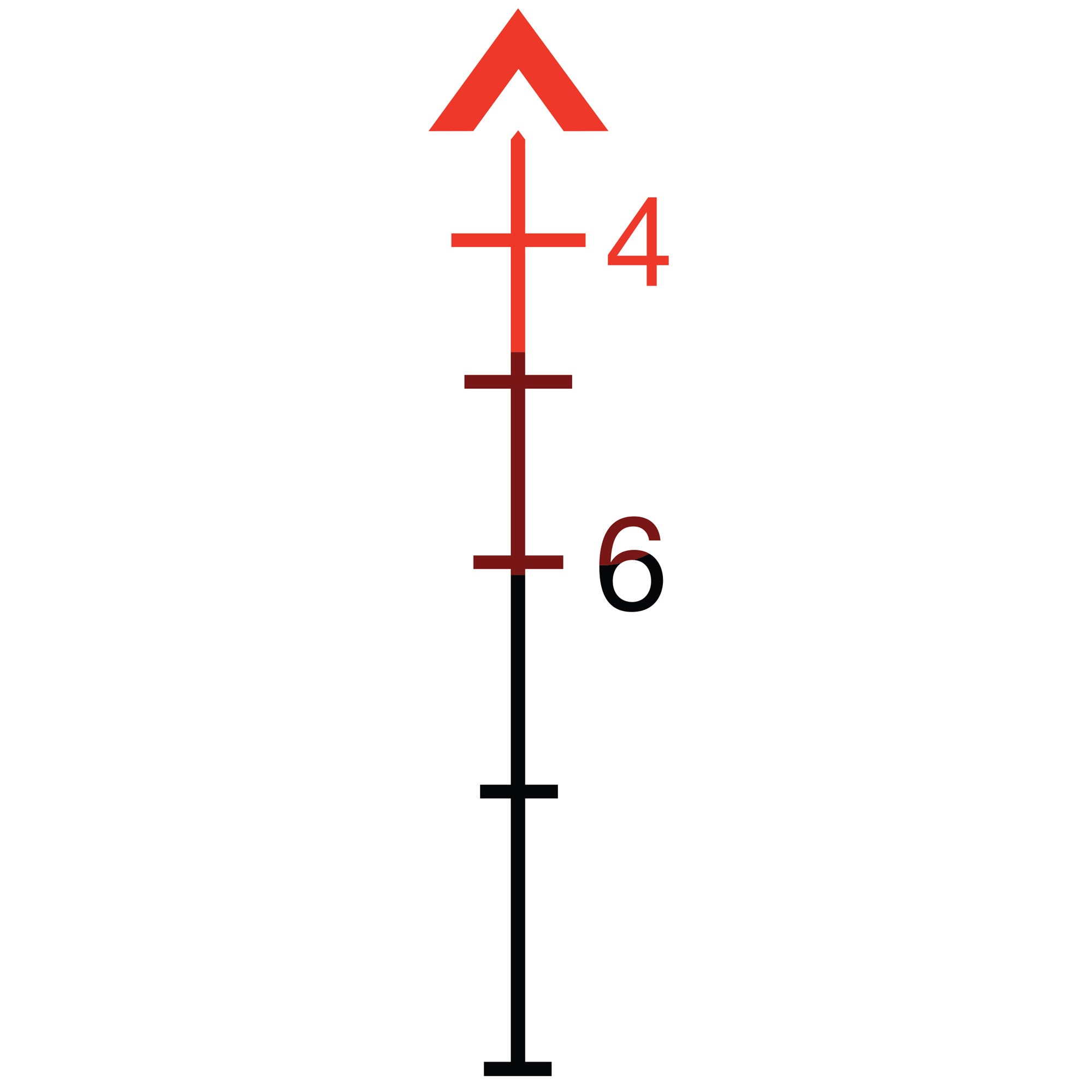 258938476.jpg
