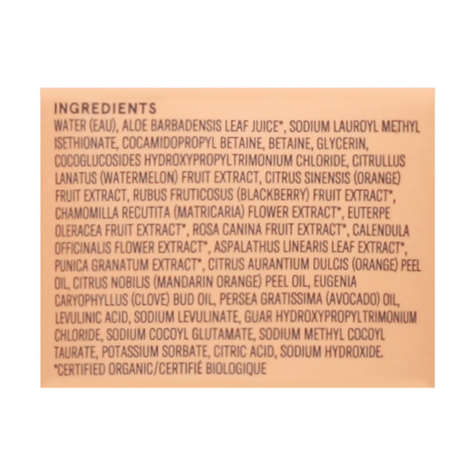 Acure Daily Workout Watermelon Shampoo, 8 Oz - Refreshing Nourishment for All Hair Types