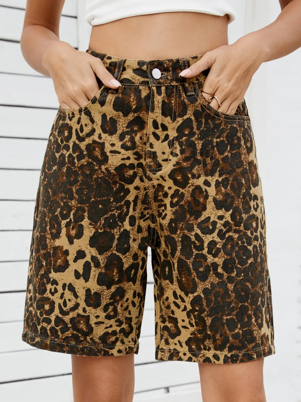 Leopard / S