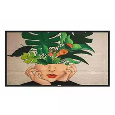 55" Philips DLine Professional 4K UHD Display - Fast, Versatile, Brilliant Image Quality