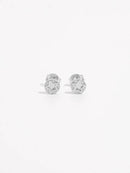 925 Sterling Silver Zircon Star Stud Earrings - Elegant, Lightweight, Platinum-Plated Design - Store 42