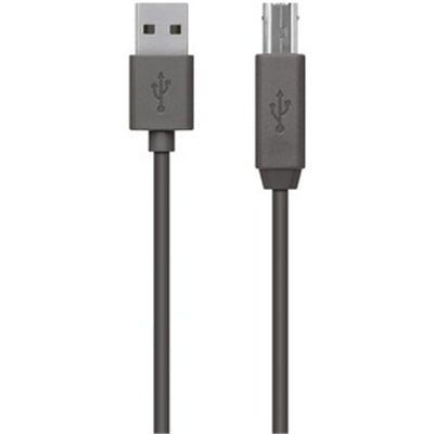 Belkin 6Ft USB 2.0 A to B Cable - Reliable High-Speed Connection for Printers and Devices