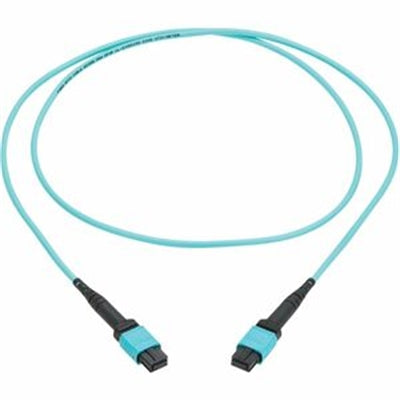 100G MM 50 125 OM4 FIB CBL 2M