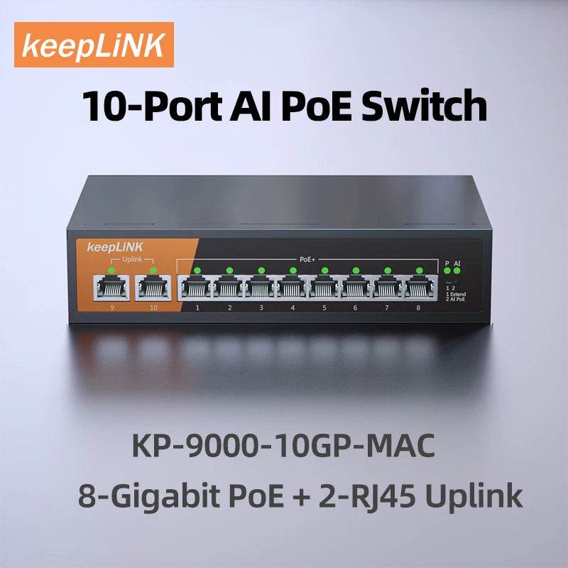 10 Port Switch / United States