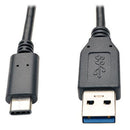 U428003.jpg