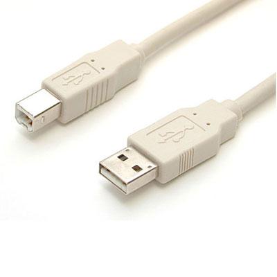 Startech 6Ft USB A to USB B Male Cable - High-Speed Data Transfer with Durable Construction
