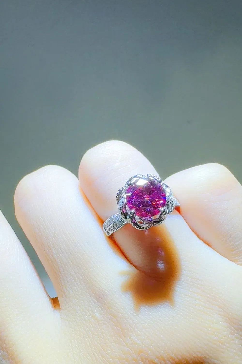 Cerise / 5