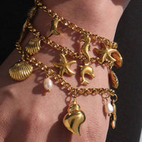 18K Gold-Plated Stainless Steel Sea Shell Charm Bracelet - Elegant Beach-Inspired Jewelry - Store 42