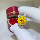 5 Carat Moissanite 925 Sterling Silver Ring