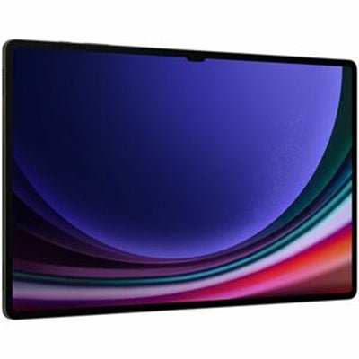 Samsung Galaxy Tab S9 Ultra 12GB RAM 512GB WiFi Tablet - Gray - Premium Performance