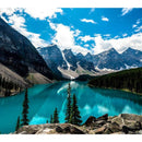 ViewSonic VG2440 24 Inch Full HD IPS Monitor with Ergonomic Stand, HDMI, USB, DP Connectivity - Store 42