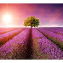 ViewSonic VP2768a 27" 4K Ultra HD IPS Monitor - Pantone Validated, 100% sRGB, USB - C Connectivity - Store 42